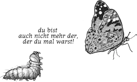 Eine Raupe ruft dem davonfliegenden Schmetterling ärgerlich nach: "Du bist auch nicht mehr, wer Du mal warst!"
