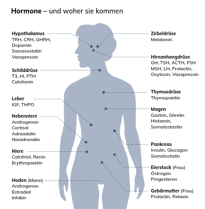 Progesteronmangel Ostrogendominanz Praxis Breitenberger 