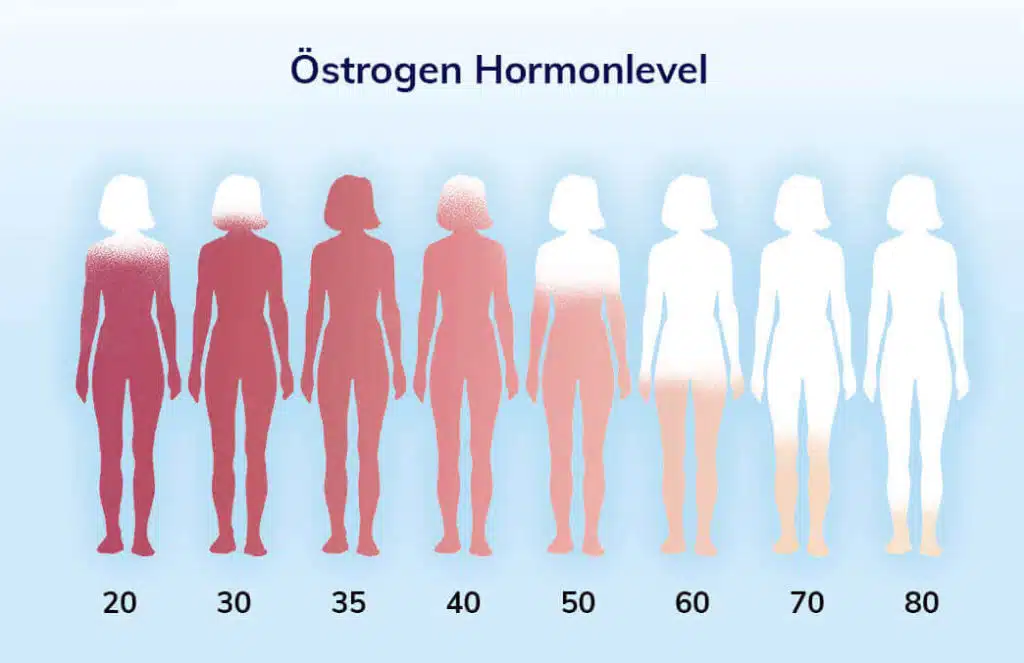 oestrogen-hormonlevel