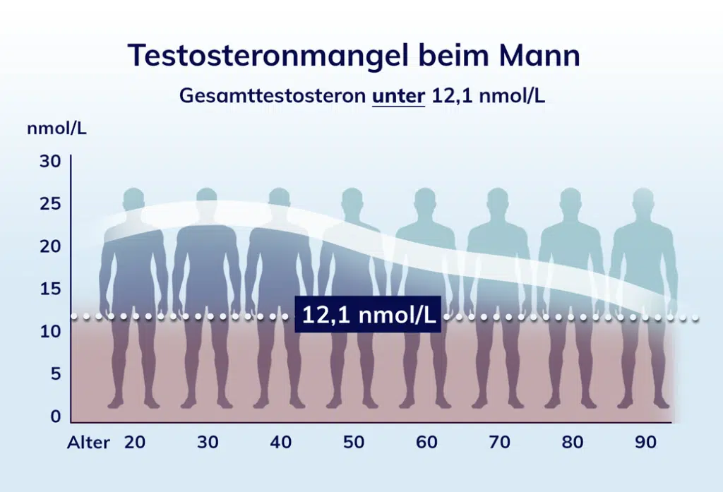 Infografik zur Werten von Gesamttestosteron beim Mann von Heilpraktiker Markus Breitenberger aus München