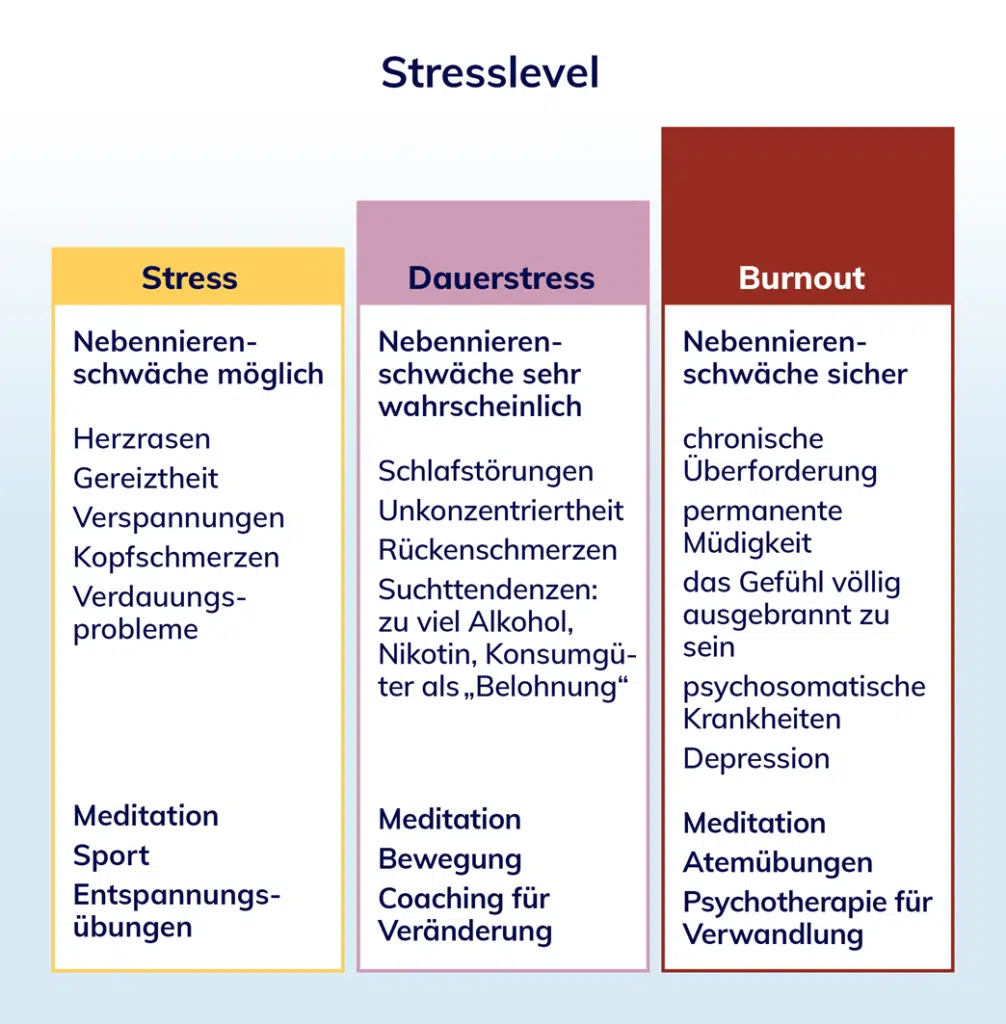 Übersicht über 3 verschiedene Stresslevel einer Nebennierenschwäche: Heilpraktiker Markus Breitenberger, München