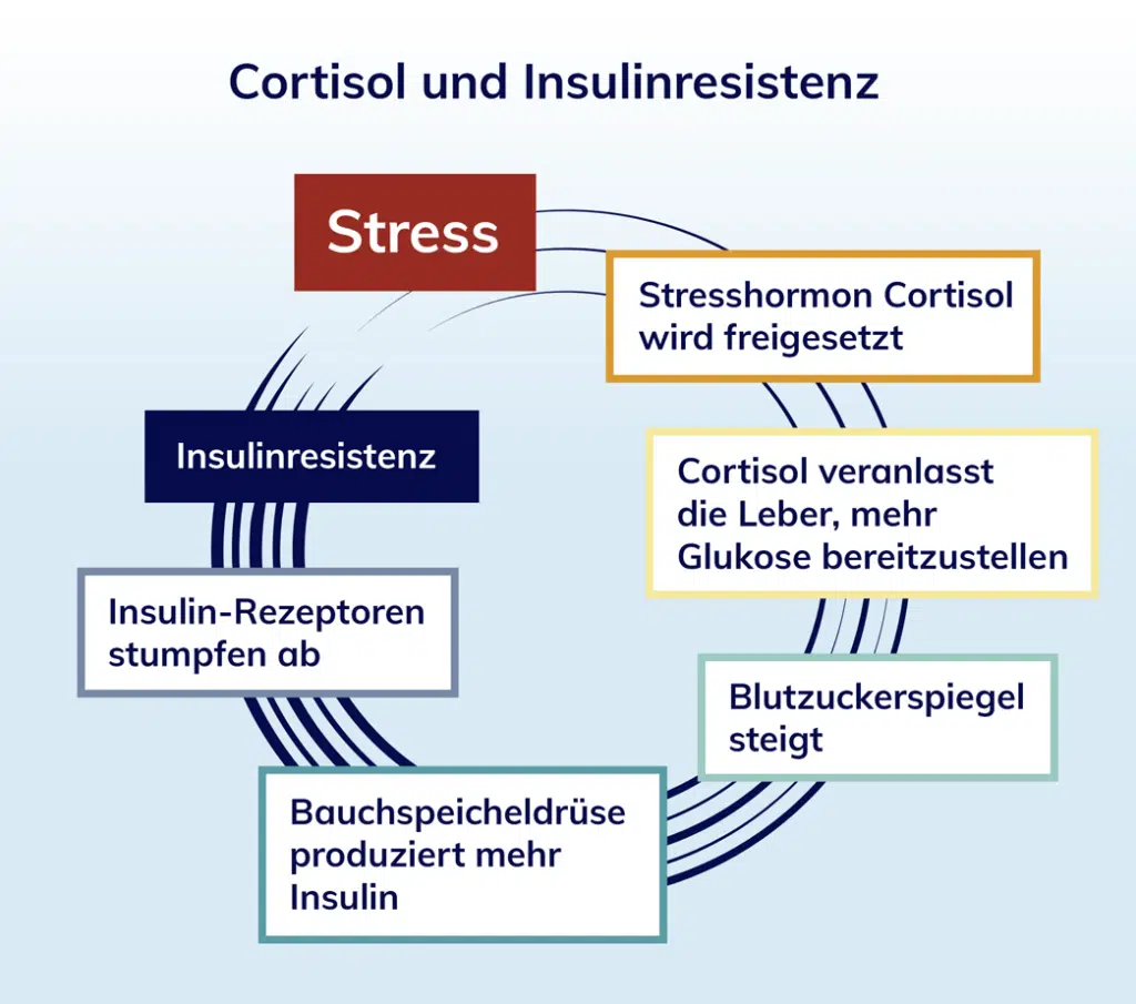 Übersicht über Cortisol- und Insulinspiegel bei einer Nebennierenschwäche: Heilpraktiker Markus Breitenberger, München
