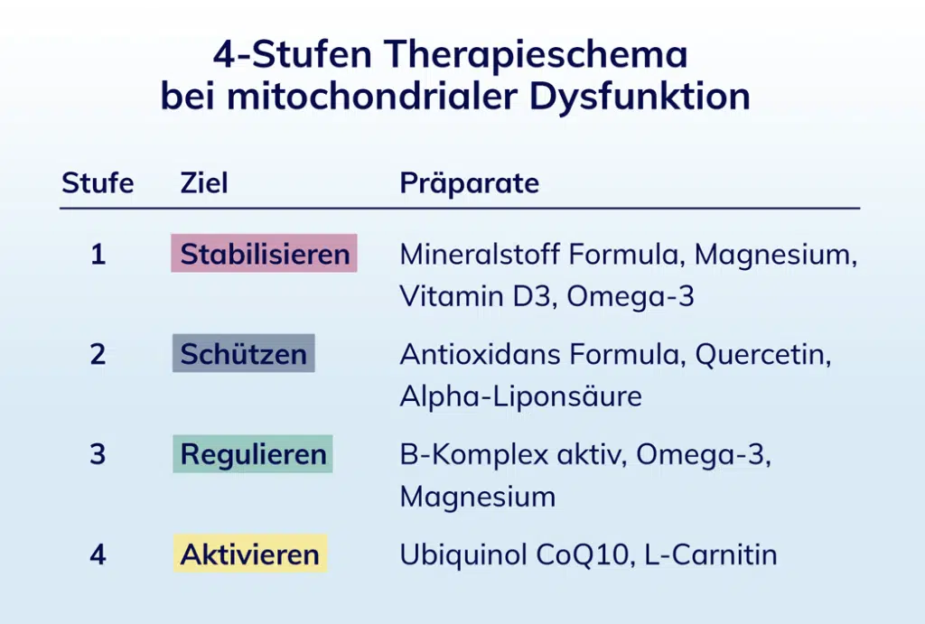 Eine Übersicht des 4-stufigen Therapieschemas bei mitochondrialer Dysfunktion aus der Praxis Breitenberger