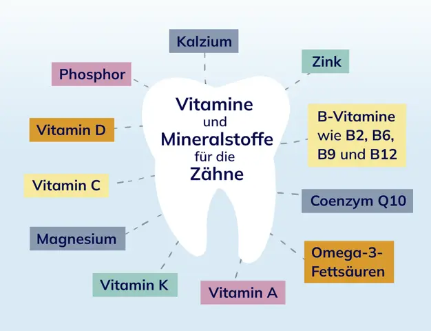 Infografik mit einer Übersicht wichtiger Vitamine und Mineralstoffe für die Zähne, darunter Kalzium, Zink, B-Vitamine, Omega-3 und Vitamine A, C, D, K.